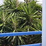 Alex Oldtown Sea View And Appartments Guest house 3*