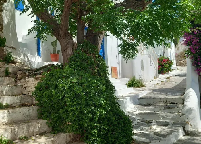 Alex Oldtown Sea View And Appartments 3* Mykonos Town