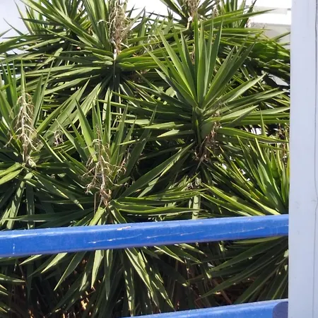 Alex Oldtown Sea View And Appartments ゲストハウス 3*